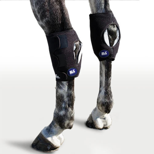 Ice Horse Hock Wraps